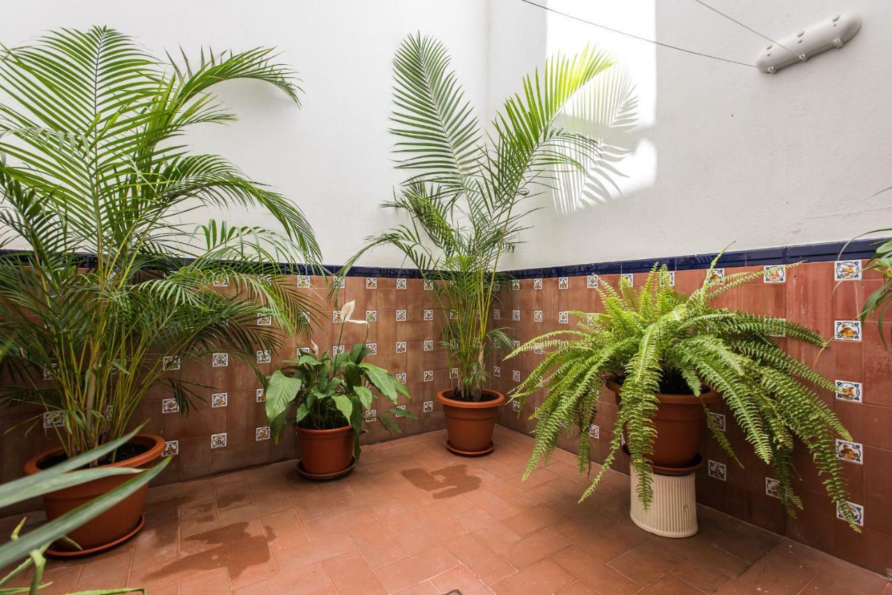 Sevilla Sun Ngoại thất bức ảnh